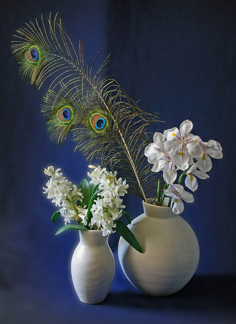 photo "Feathers & Irises" tags: still life, 