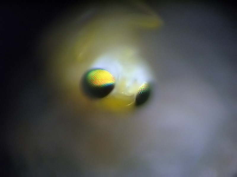 photo "Untitled photo" tags: abstract, 