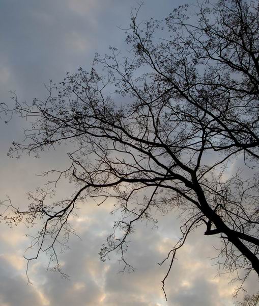 photo "Thoughtfulness" tags: landscape, clouds, spring