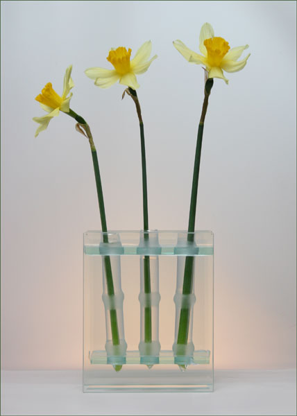 photo "Etude with narcissuses" tags: nature, montage, flowers