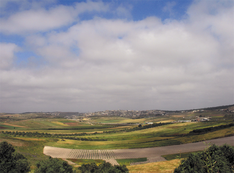 фото "Israel" метки: разное, 