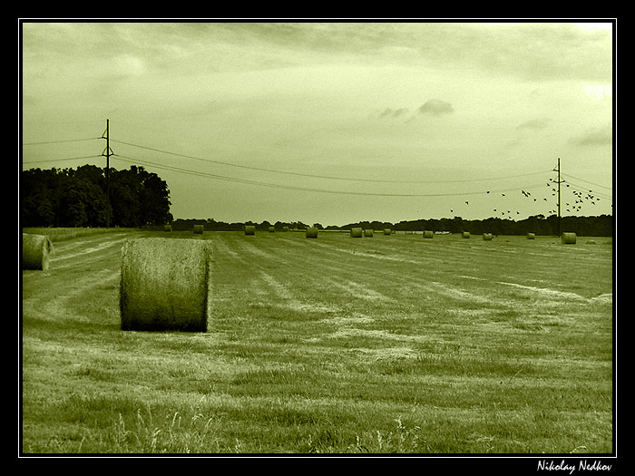 photo "Untitled photo" tags: landscape, 