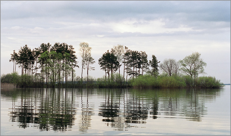 photo "Silence" tags: landscape, spring, water