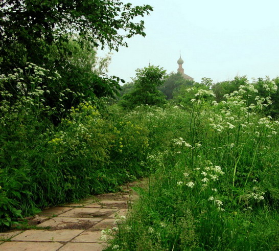 фото "Утренняя тропка к храму" метки: архитектура, пейзаж, 