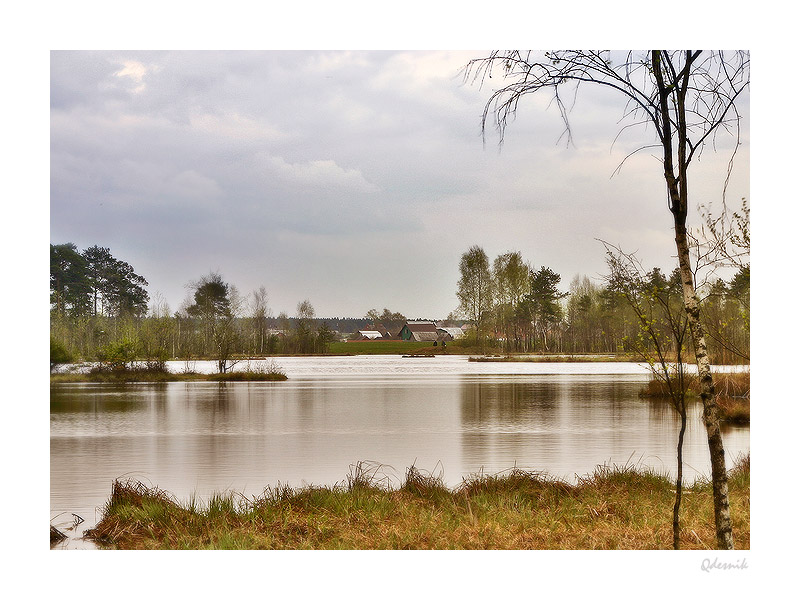 photo "Favourite corner" tags: landscape, spring