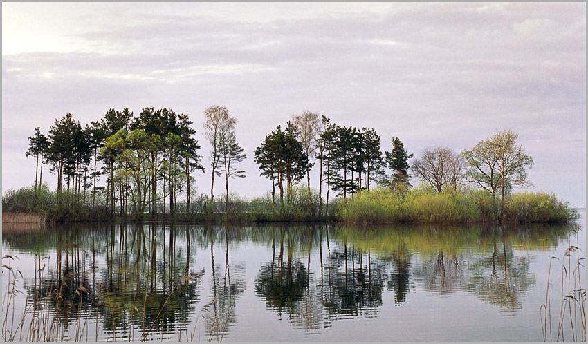 photo "Silence 2 (In Purple)" tags: landscape, spring, water