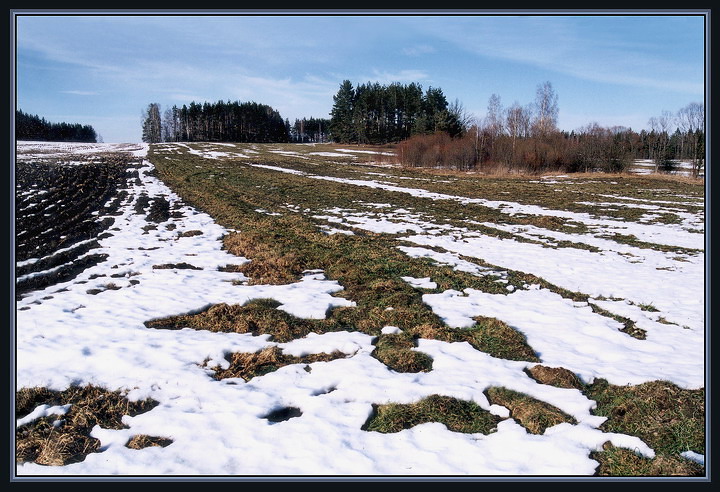 Видны проталины. Проталины на полях. Черные проталины на полях. Таяние снега в поле. Снег в поле тает.