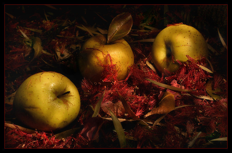photo "About apples" tags: misc., still life, 