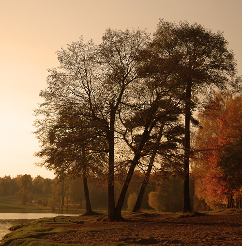 фото "Осеннее настроение" метки: пейзаж, осень