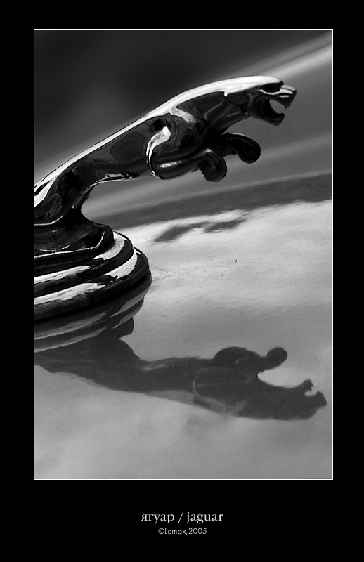 photo "jaguar" tags: macro and close-up, still life, 