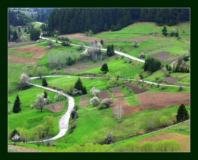 фото "Around Momchilovci Village ( Rodopi Mauntain )" метки: пейзаж, весна, горы