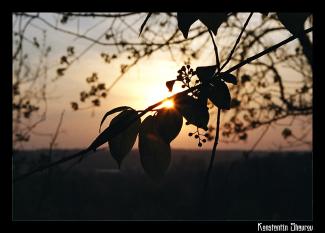 photo "***" tags: landscape, spring, sunset