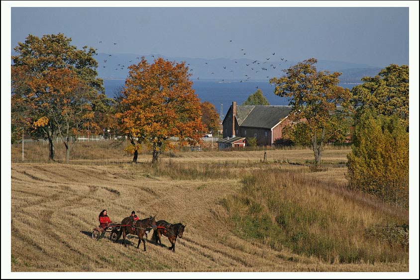 фото "***" метки: разное, 