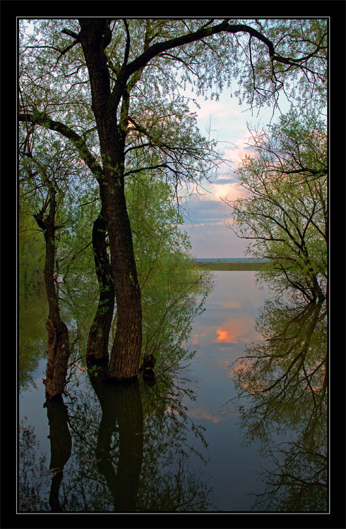 photo "May. The Morning." tags: landscape, spring, water