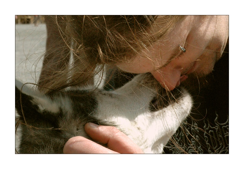 photo "About pure love. For Olya Pogodina, happy birthday" tags: genre, nature, pets/farm animals