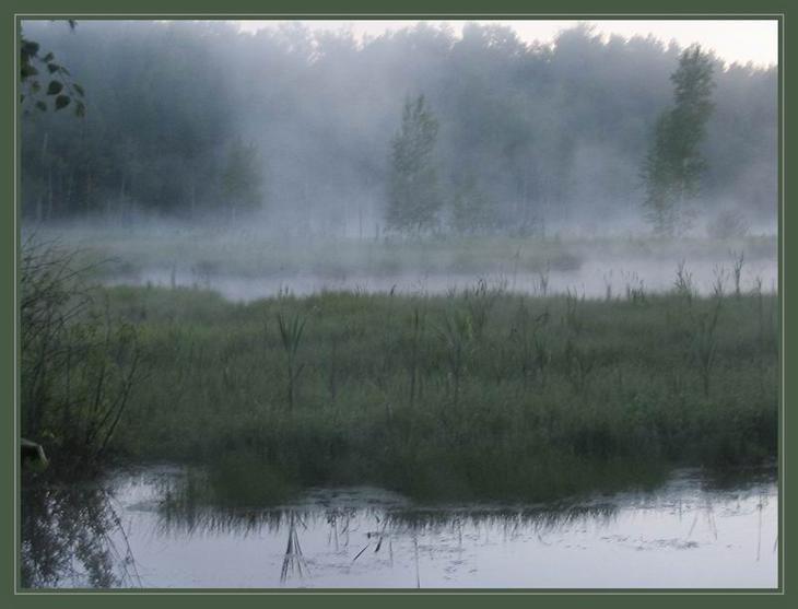 photo "Sleeping summer" tags: landscape, summer, water