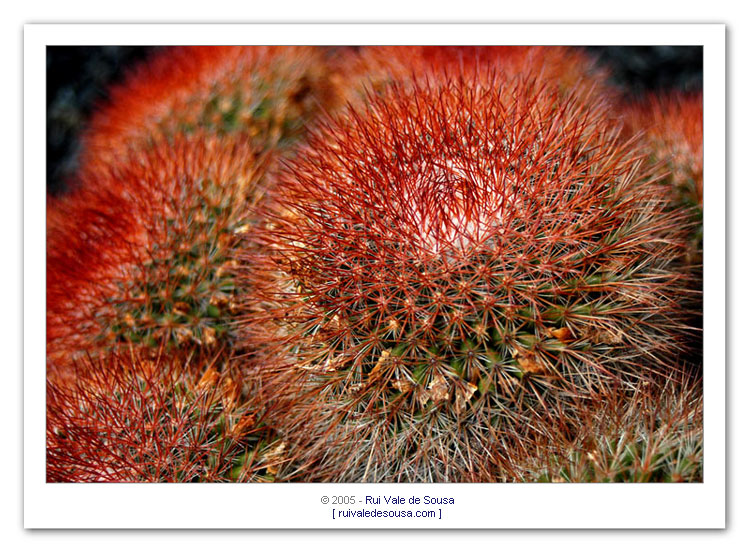 фото "textures" метки: разное, 