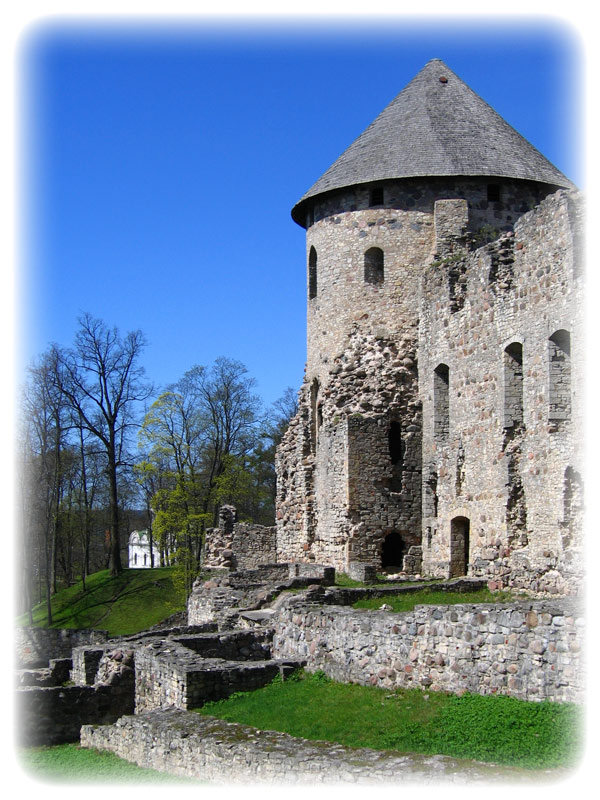 photo "Castle of Master of Livonian Order" tags: architecture, landscape, 