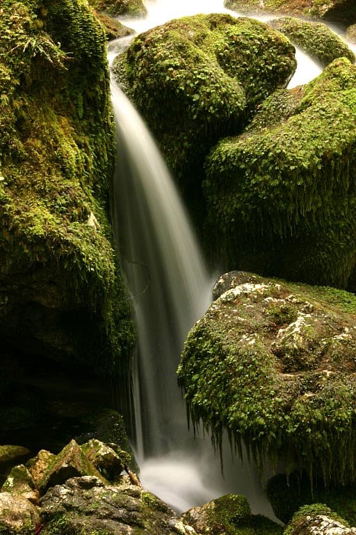 photo "Wonderfull Nature" tags: nature, 