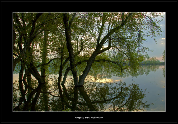 фото "Graphics of the High Water" метки: пейзаж, весна, вода