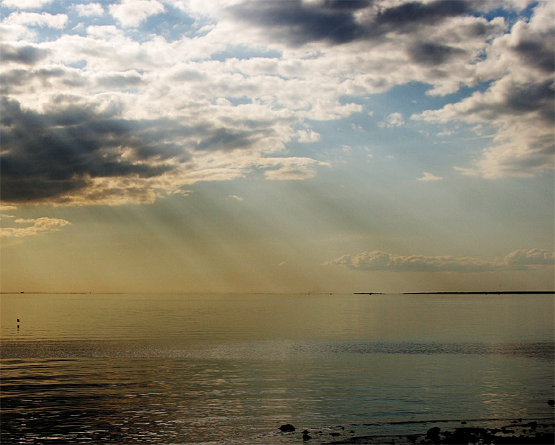 photo "May. Evening. Petersburg. #2" tags: landscape, spring, water