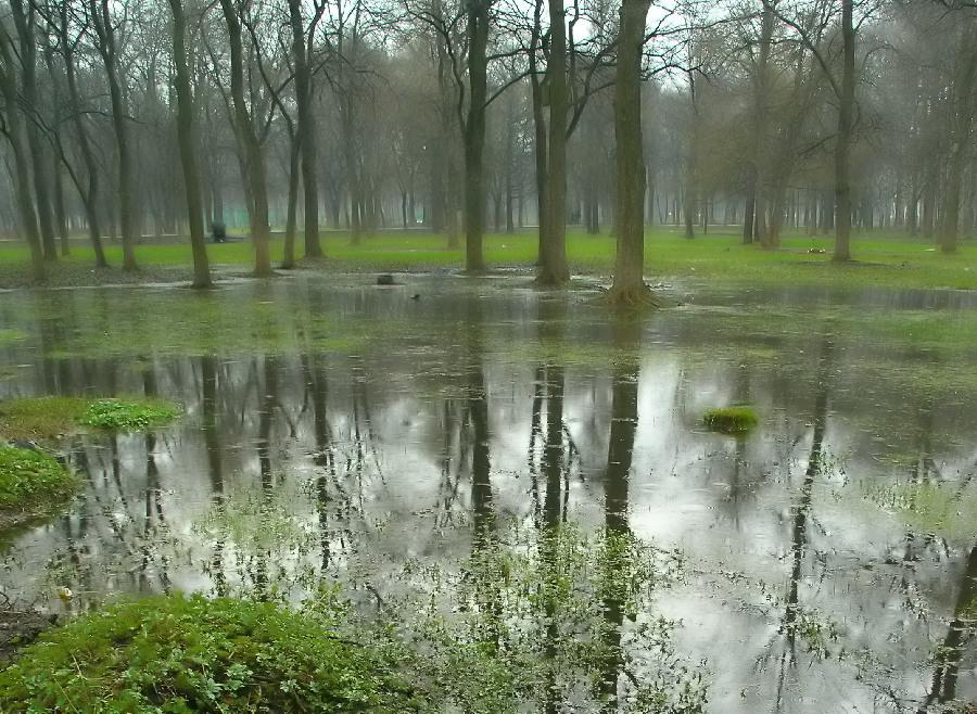 photo "After a May rain" tags: landscape, forest, water