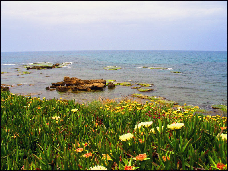 photo "Spring and sea" tags: landscape, spring, water