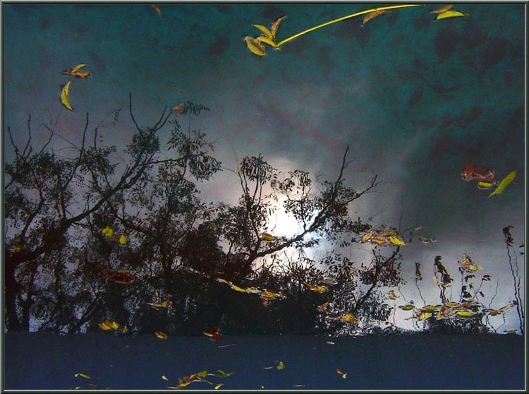 photo "moon... and the breeze" tags: landscape, autumn, water