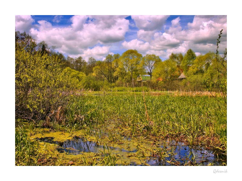 photo "Among bogs" tags: landscape, spring