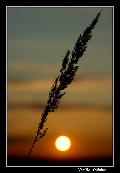 фото "...перезимовали..." метки: пейзаж, весна, закат