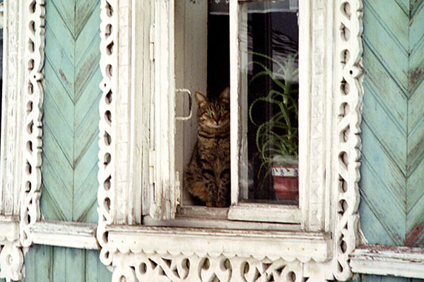 photo "Untitled photo" tags: nature, pets/farm animals