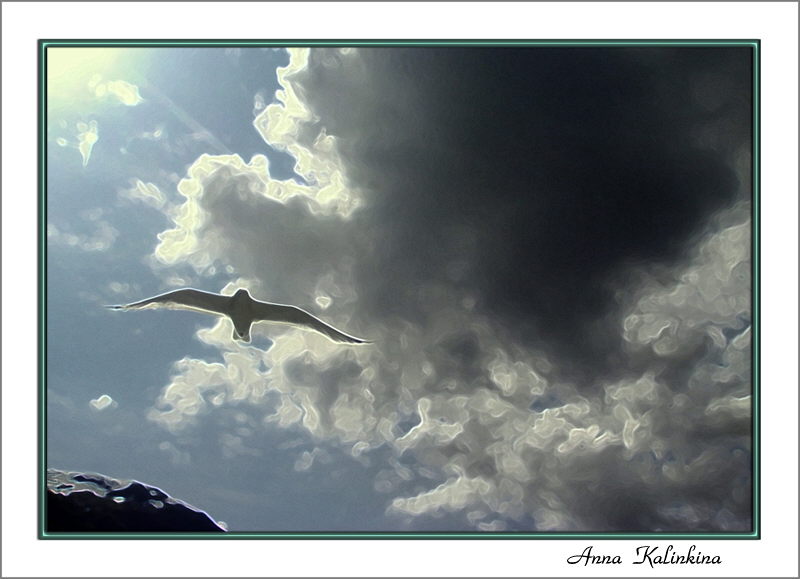 photo "Petrel" tags: landscape, clouds, spring