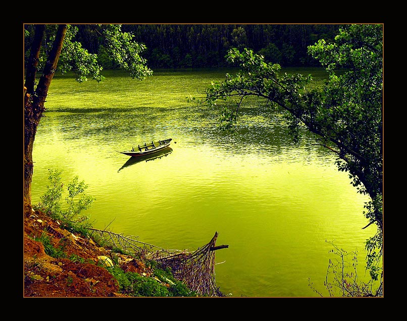 фото "dream about green" метки: пейзаж, вода, лес