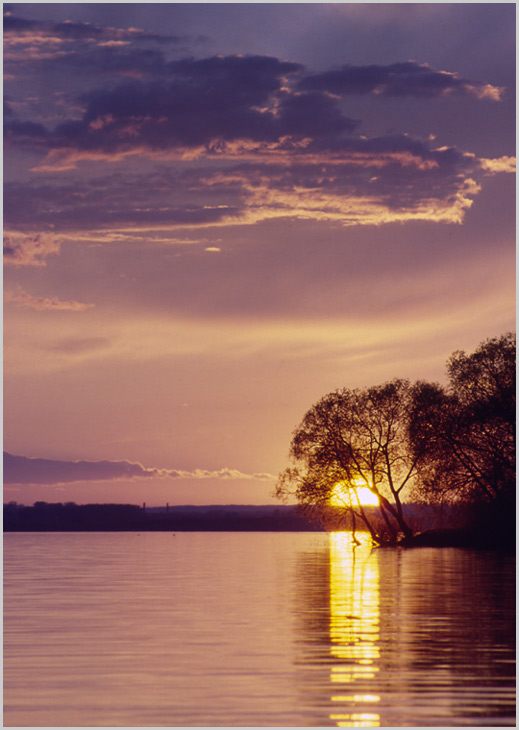 photo "In Deep Purple" tags: landscape, sunset, water