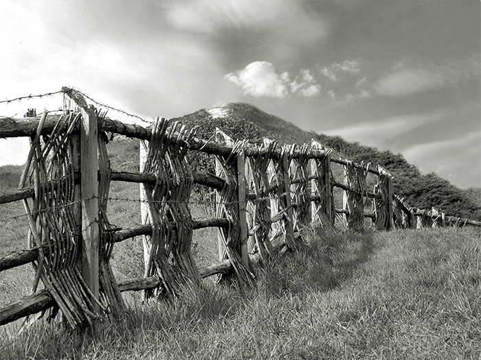 photo "Fence" tags: landscape, 