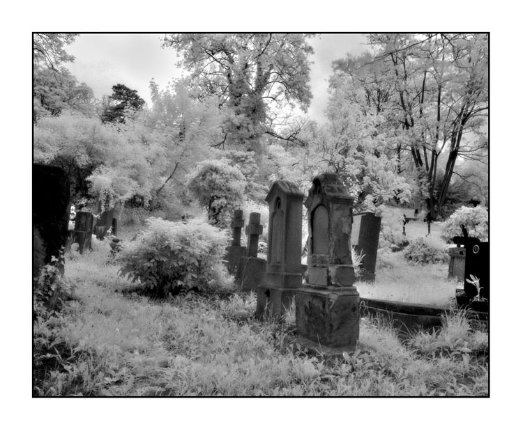 фото "Cemetery #101" метки: черно-белые, 