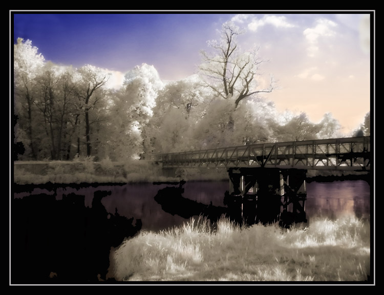 фото "bridge" метки: пейзаж, вода, лес