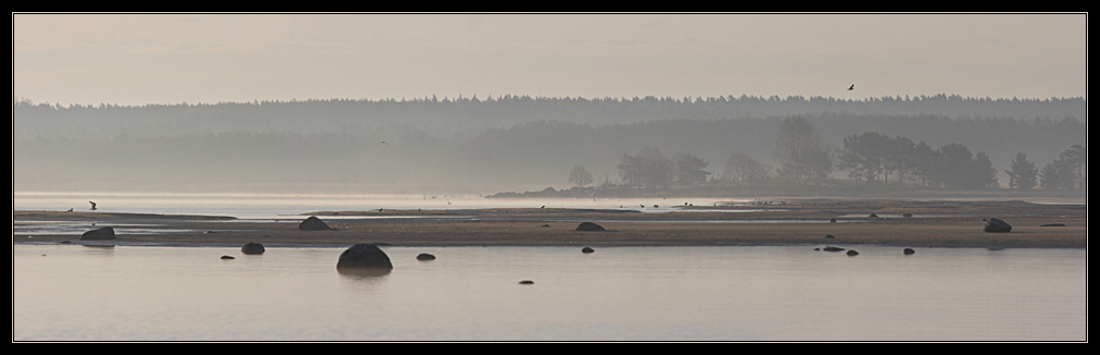 photo "The Baltic morning" tags: landscape, nature, water