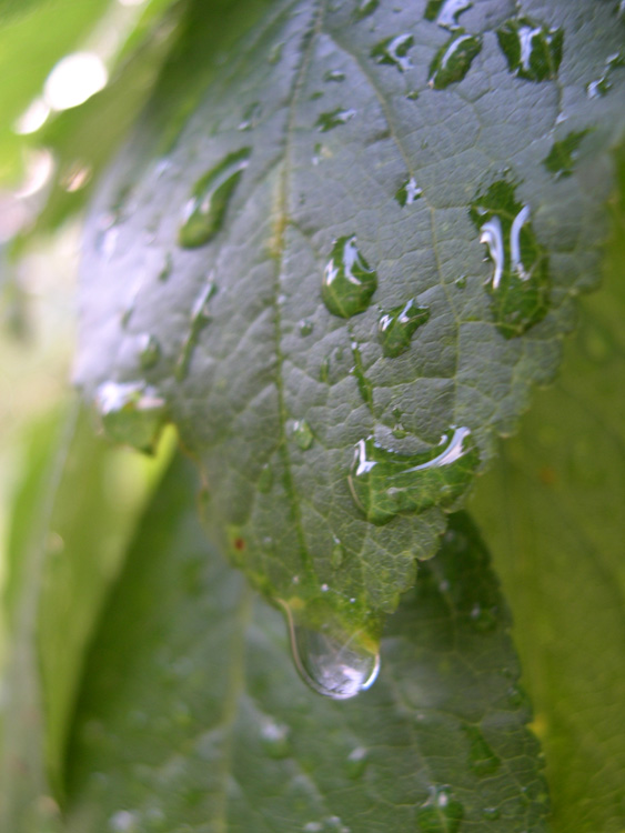 photo "The moment" tags: landscape, macro and close-up, water