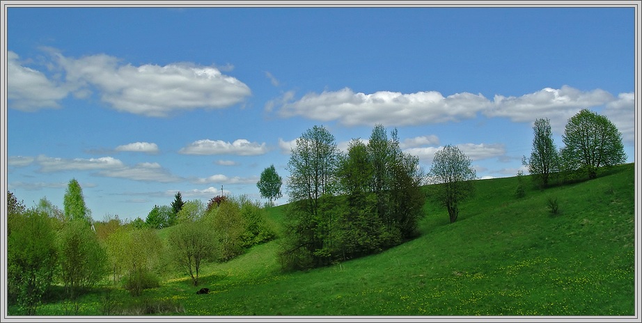 photo "***" tags: landscape, spring