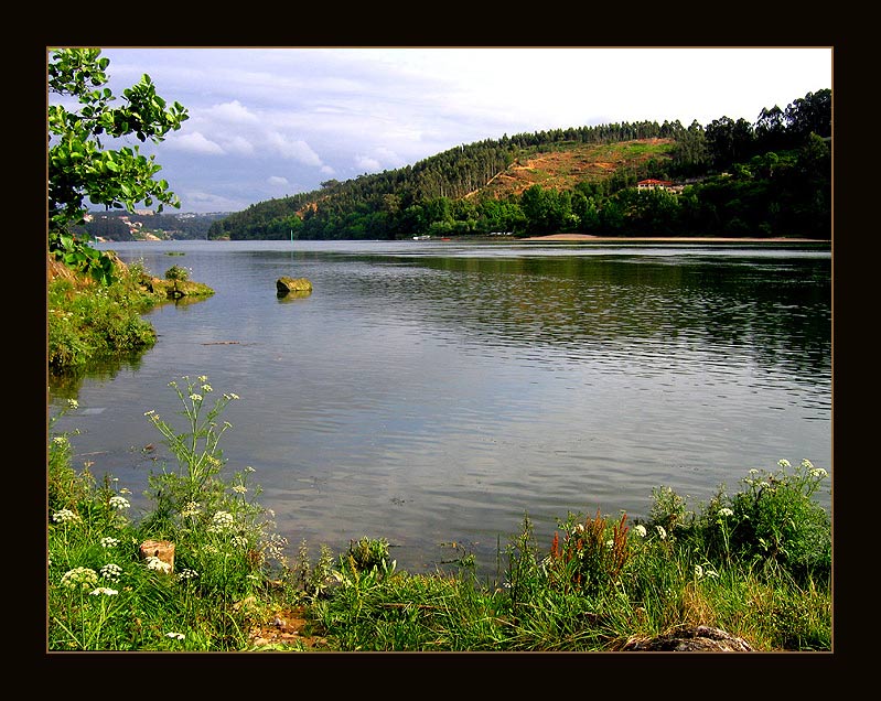 фото "entre-os-rios" метки: пейзаж, вода