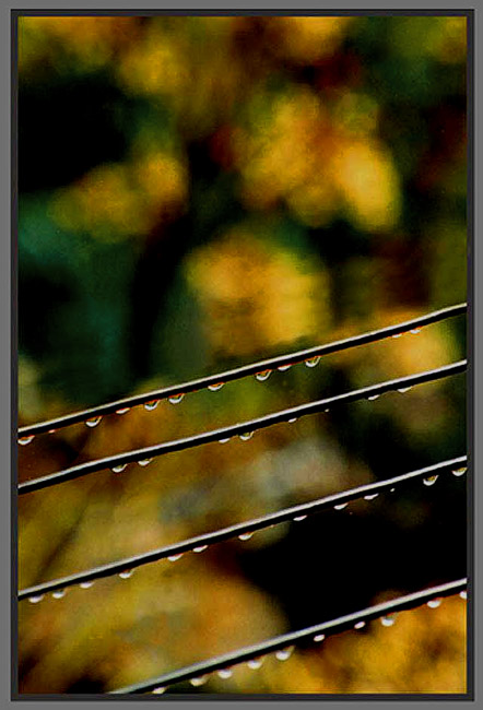 photo "Autumn..." tags: misc., 