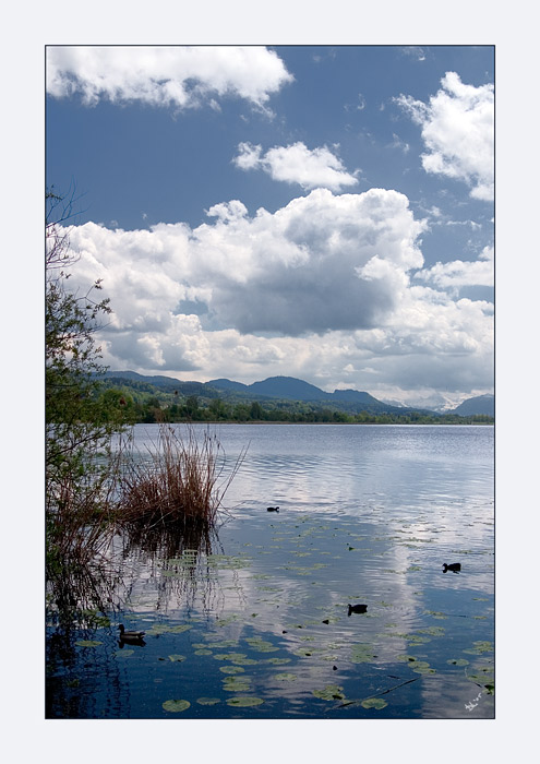 photo "Lake Blue" tags: landscape, spring, water