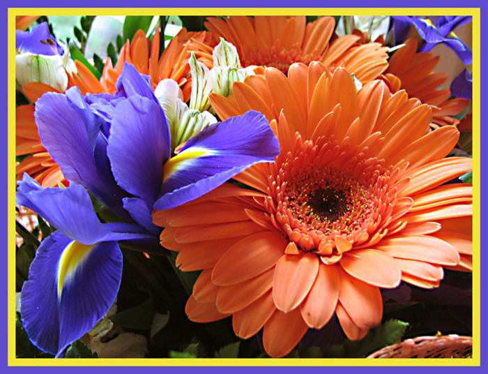 photo "***" tags: macro and close-up, 