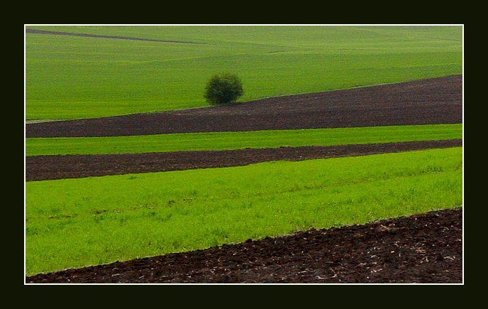 фото "Around Northern Bulgaria" метки: пейзаж, весна