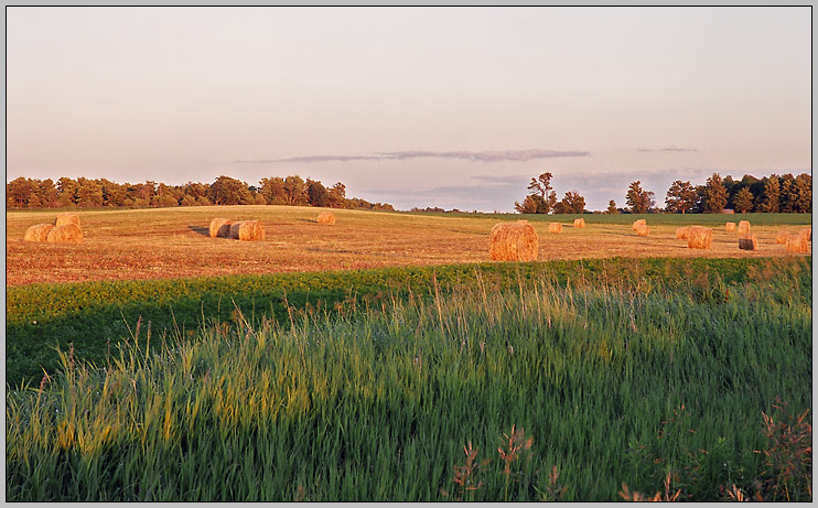 photo "County of Peterborough (1) 2004" tags: landscape, travel, North America, autumn