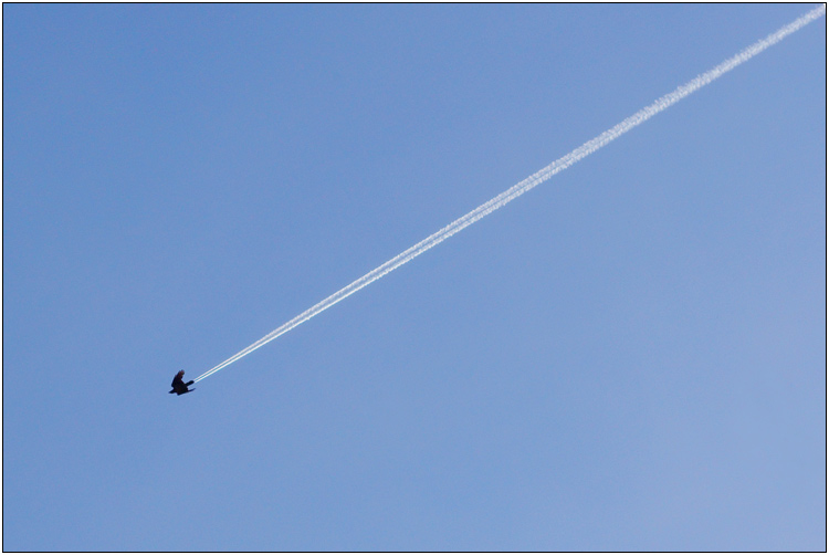 photo "The pure sky" tags: humor, 