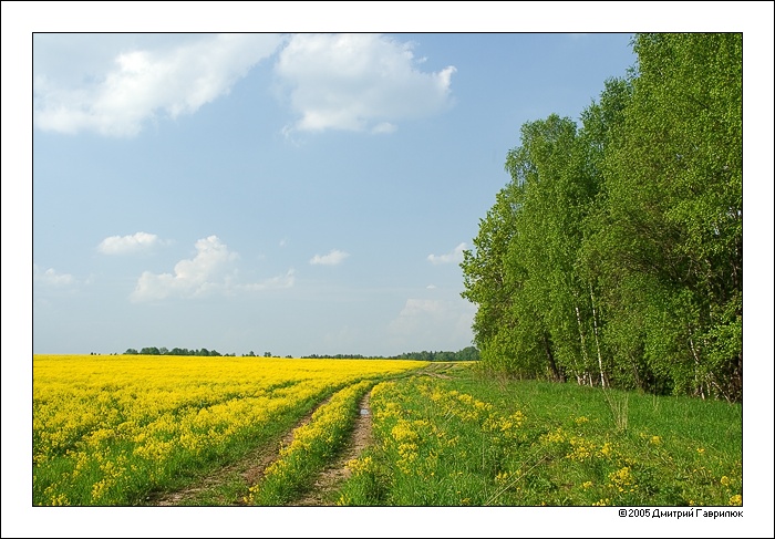 photo "*****" tags: landscape, clouds, spring