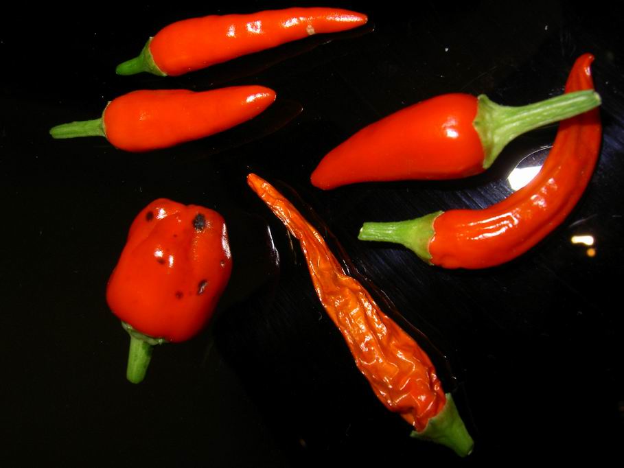 photo "Peppers" tags: macro and close-up, 