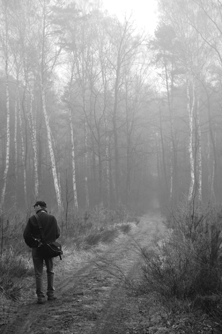 фото "still looking for" метки: пейзаж, черно-белые, лес
